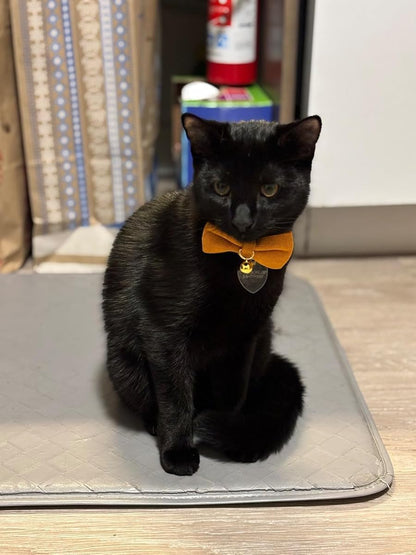 Cotton Breakaway Kitten Collar with Bow Tie and Bell Adjustable Cute Soft Corduroy Cat Collars for Small Cats(Orange,XS)