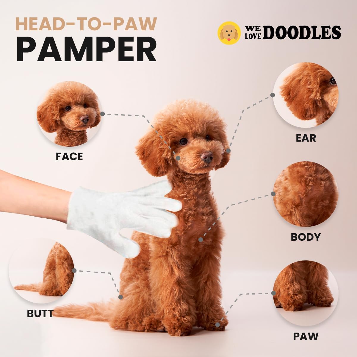 We Love Doodles Dog Cleaning Gloves Wipes - Pet Bathing Wipes for Dogs, Paws, Face, Body, Ears - Safe, Easy & Effective - Individually Packaged, Rinse-Free, Double-Sided, Alcohol-Free 12 PCS