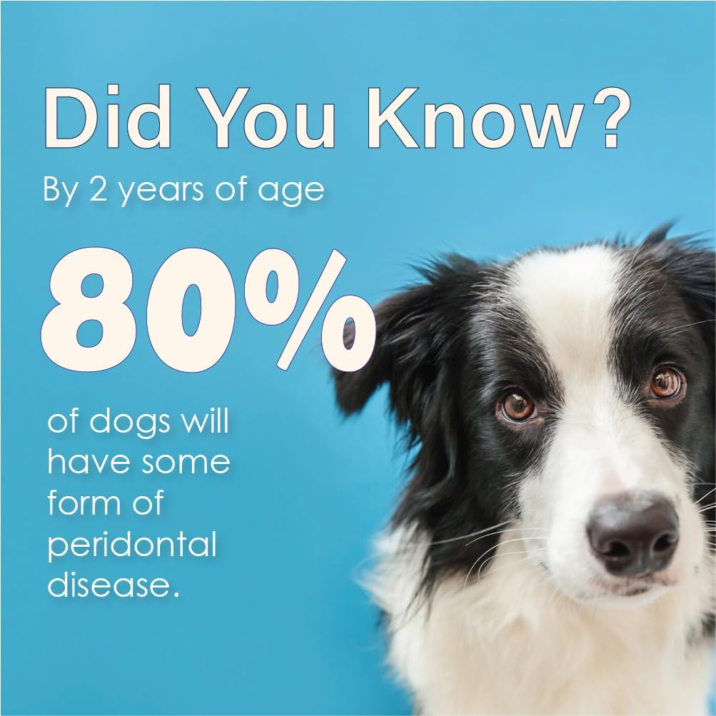 Advanced Enzymatic Toothpaste – Safe and Natural Dog Oral Care Toothpaste – Freshens Breath, Fights Plaque and Reduces Tatar – Tasty Peanut Butter Flavor – 5 Oz