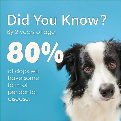 Advanced Enzymatic Toothpaste – Safe and Natural Dog Oral Care Toothpaste – Freshens Breath, Fights Plaque and Reduces Tatar – Tasty Peanut Butter Flavor – 5 Oz