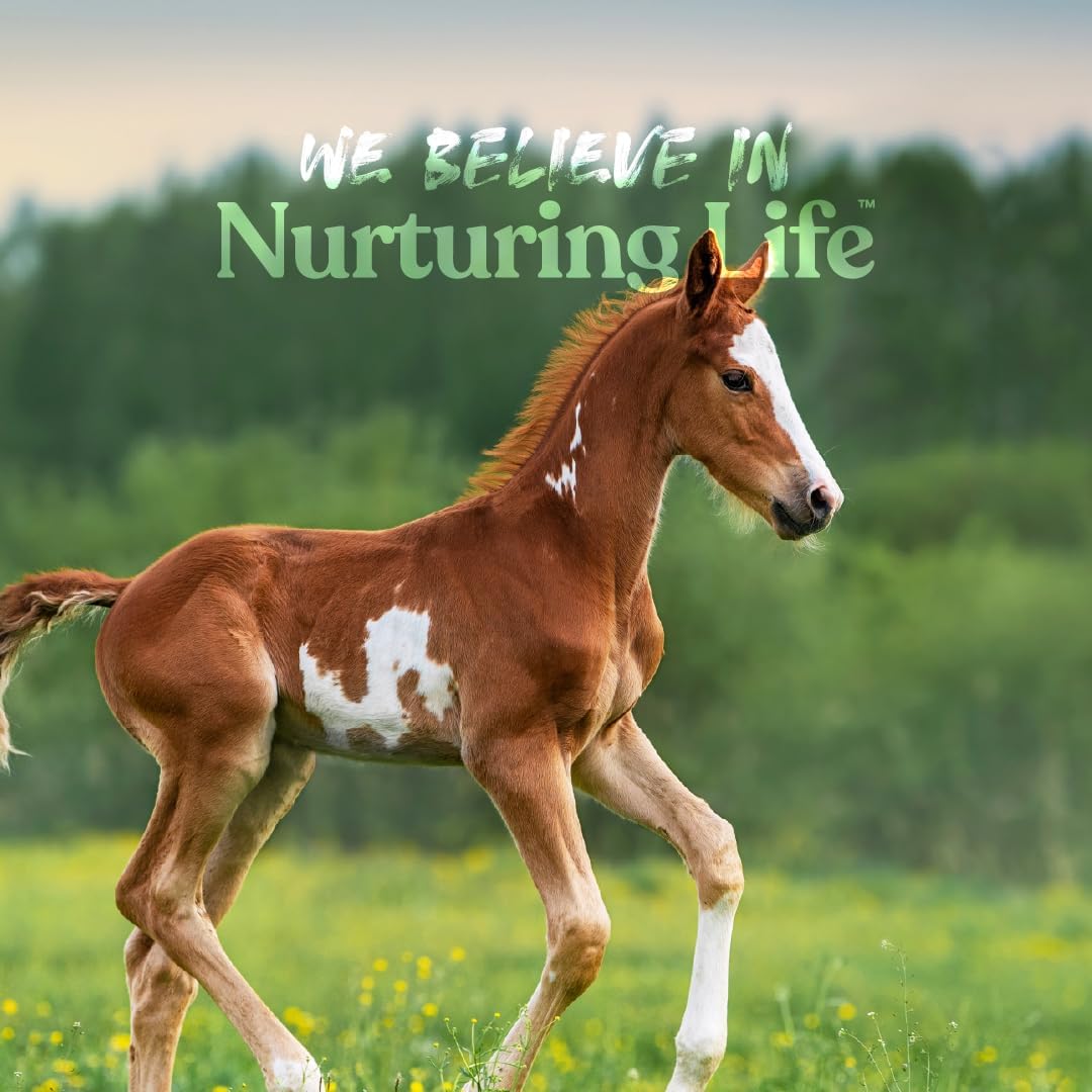 Manna Pro Nurse All Multi-Species Milk Replacer, Great for Calves, Lambs, Goat Kids, Foals, Baby Pigs, Llamas, Alpaca Crias, Puppies & Kittens, Provides Complete Nutrition, 3.5 lb