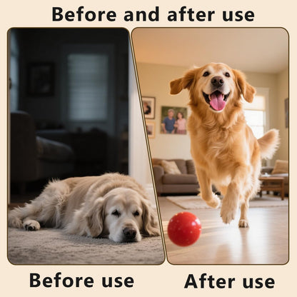 Dog Multivitamin Chewable with Probiotics,Dog Vitamins and Supplements for Hip & Joints,Pets Immune Support,Skin,Coat,Heart,Gut Health with Omega 3,Glucosamine for All Breeds Dogs-Senior & Puppy