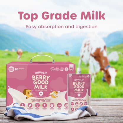 Choolip Berry Good Milk – 10-Pack Lactose-Free Vitamin Milk for Cats & Dogs | Vet-Formulated Pet Drink Supporting Urinary, Joint & Digestive Health | Grain-Free, Ready to Serve