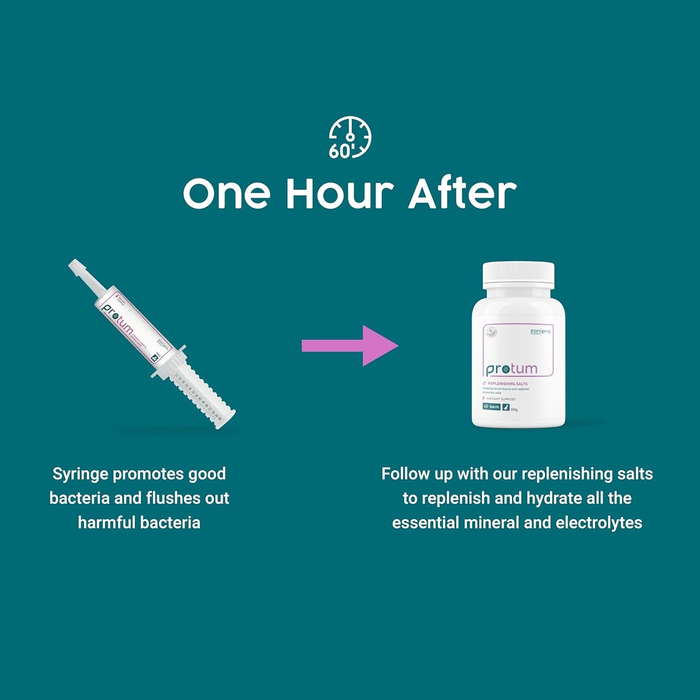 Protum Probiotic Paste for Dogs - 30ml Advanced Prebiotic Formula for Digestive Support - Tasty Flavour for Canine Gut Health - Aids Digestion, Diarrhea Recovery, and Wellness