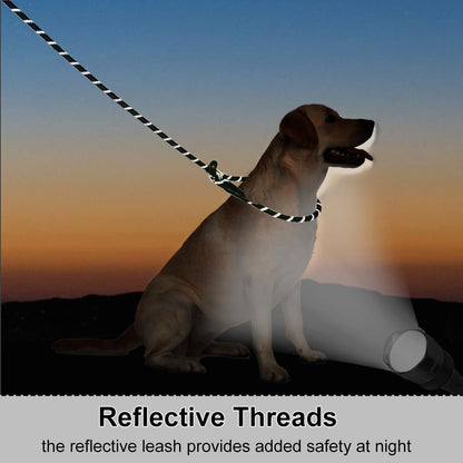 12ft Long Slip Leash with Padded Handle + 6ft Slip Lead Small Dog Training Leash, Black