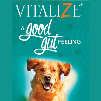 Vitalize Dog Gel - After Surgery Recovery & Probiotics Alternative Immune Support Booster Supplement for Dogs Digestive & Gut Health - Liquid Gel Paste (15 ml) (Pack of 2)