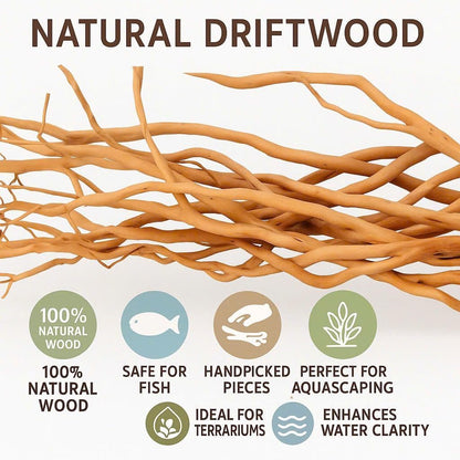 Azil Natural Aquarium Driftwood Root – Driftwood for Aquarium Decor, 170g (14″–16″), Fish Tanks, Terrariums, Aquascaping & Planted Tanks