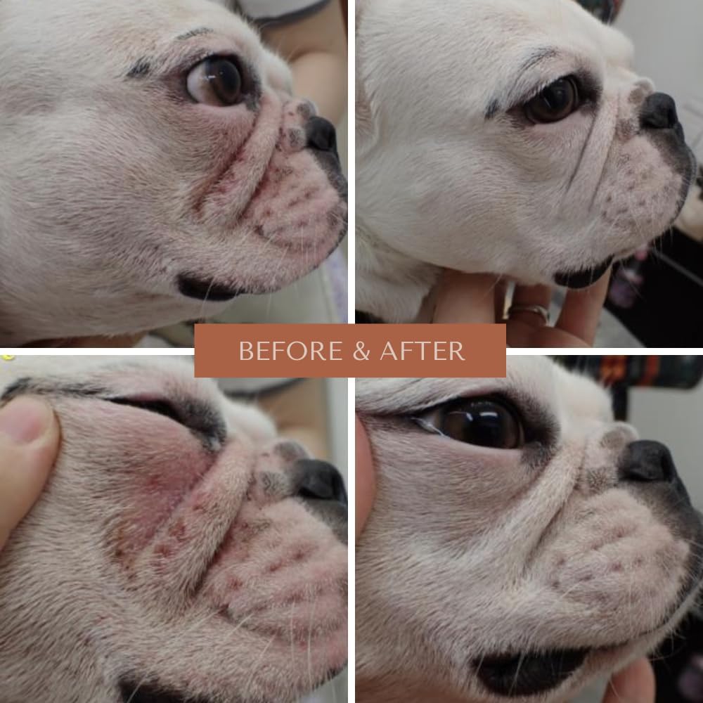Wrinkle Rub | Bulldog, French Bulldog, Pug, English Bulldog | Cleans & Soothes Wrinkles, Folds, Tear Stain, Tail Pockets & Paws, Anti-Itch Paste Wipes