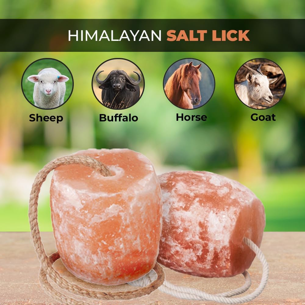 Himalayan Salt Lick 3-4 lbs Each | Pack of 4 | Licking Salt for Horses | Deer Salt Lick Block | Block Salt on Rope | Himalayan Licking Salt for Animals.