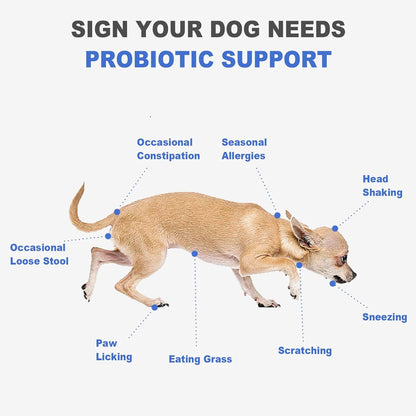 Probiotic Chews for Dogs - Chicken Flavor, 100 Soft Chews, with 6 Billion CFU Probiotics, Enzymes, Organic Pumpkin & Inulin - Digestive & Immune Support for Dogs