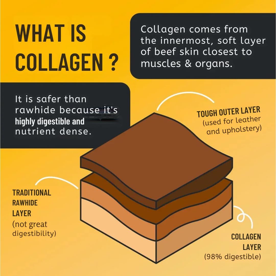 chew-e&tasty Braided Collagen Chews for Dogs (12 Inch, 5 Pack), Odor Free, All Natural Dog Chews, Long Lasting w/Chondroitin & Glucosamine. Bully Sticks and Rawhide Alternative for Medium, Large Dogs