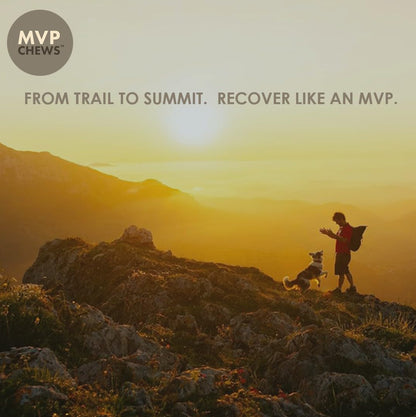 MVPChews | Single Ingredient Beef Liver Dog Treats 3.5oz | Freeze Dried Raw | Premium Quality High Protein Training Treats | No Additives | No Fillers | No Grain | Gluten Free