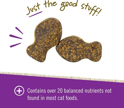 Pet Naturals Daily Multivitamin for Dogs – 28 Essential Nutrients, Fatty Acids & Antioxidants for Complete Health | Supports Energy, Digestion, Skin & Coat | Fish Flavor Soft Chews, 160 Count