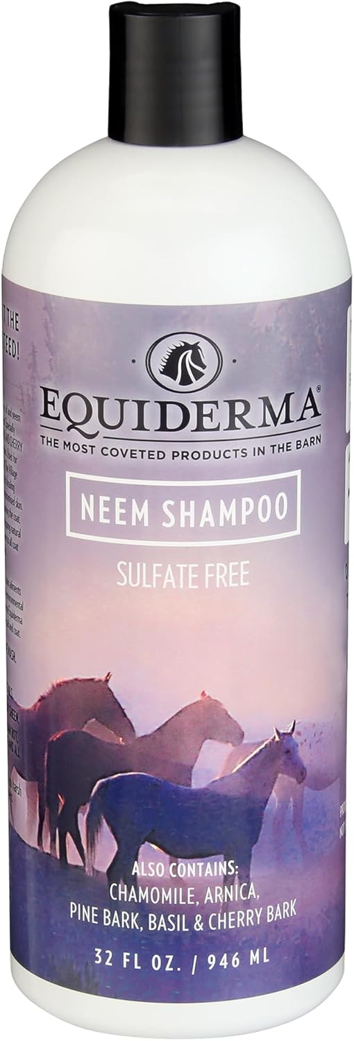 The Original – Equiderma Arnica Horse Shampoo, 32 oz | Sulfate-Free, Organic Herbal Formula for Healthy Skin, Silky Coat & Brilliant Shine | Natural Grooming Care