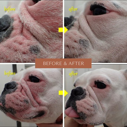 Wrinkle Rub | Bulldog, French Bulldog, Pug, English Bulldog | Cleans & Soothes Wrinkles, Folds, Tear Stain, Tail Pockets & Paws, Anti-Itch Paste Wipes