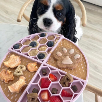 BUDDY BUDDER Bark Bistro Dog Lick Mat Set with Superberry Peanut Butter, Purple Enrichment Mat with Spatula, 4 oz Squeeze Pack