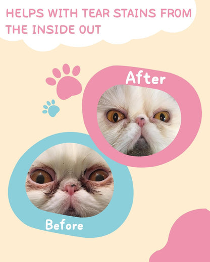 Lysine for Cats & Tear Stain Remover - Supporting Normal Visual Function, Tear Stain Elimination, Cold Relief - Cat Respiratory and Eye Infection Treatment for Runny Nose and Watery Eyes