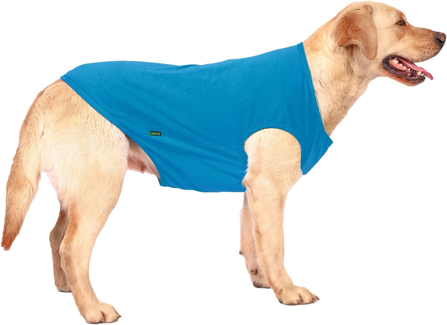 Dog Blank Blue Shirt,Boy Girl Dogs Extra Large Cotton Tee Shirts,Plain Labrador T-Shirt,XXL Blue Royal