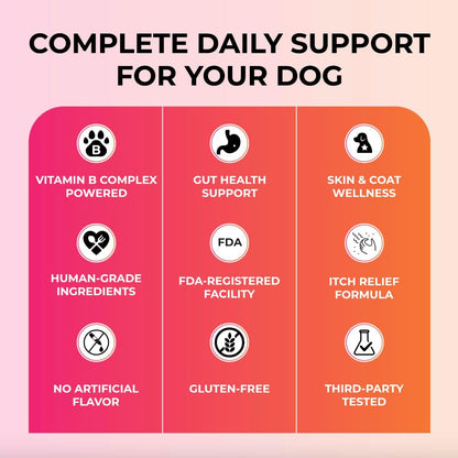 Caspi 10-in-1 Dog Multivitamin with Probiotics – Joint Health, Itching & Skin Relief, Omega-3 Salmon Oil, Glucosamine, Vitamins & Minerals – Daily Chew Supplement for Dogs – 160 Soft Chews