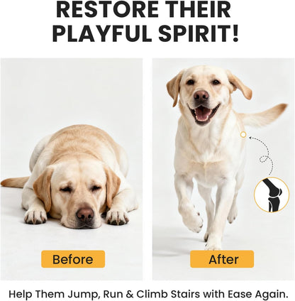 Glucosamine for Dogs Hip and Joint Supplement Chews, Chondroitin Joint Care for Dogs, Joints Chews for Dog, Dog Supplement for Pain Relief - 60-Day Satisfaction Guarantee -180 Ct