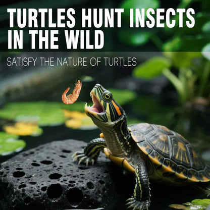 Freeze-Dried River Shrimp – Premium Turtle Food, Reptile & Bird Treat – High-Protein Shrimp for Turtles, Aquatic Pets, Tropical Fish, 1.5 oz