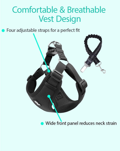 Dog Seat Belt Harness for Car,Padded Dog Car Safety Vest Harness,2 in 1 Seatbelt Tether with Elastic Bungee Journey Harnesses for Small Medium Large Pets (Purple X-Large)