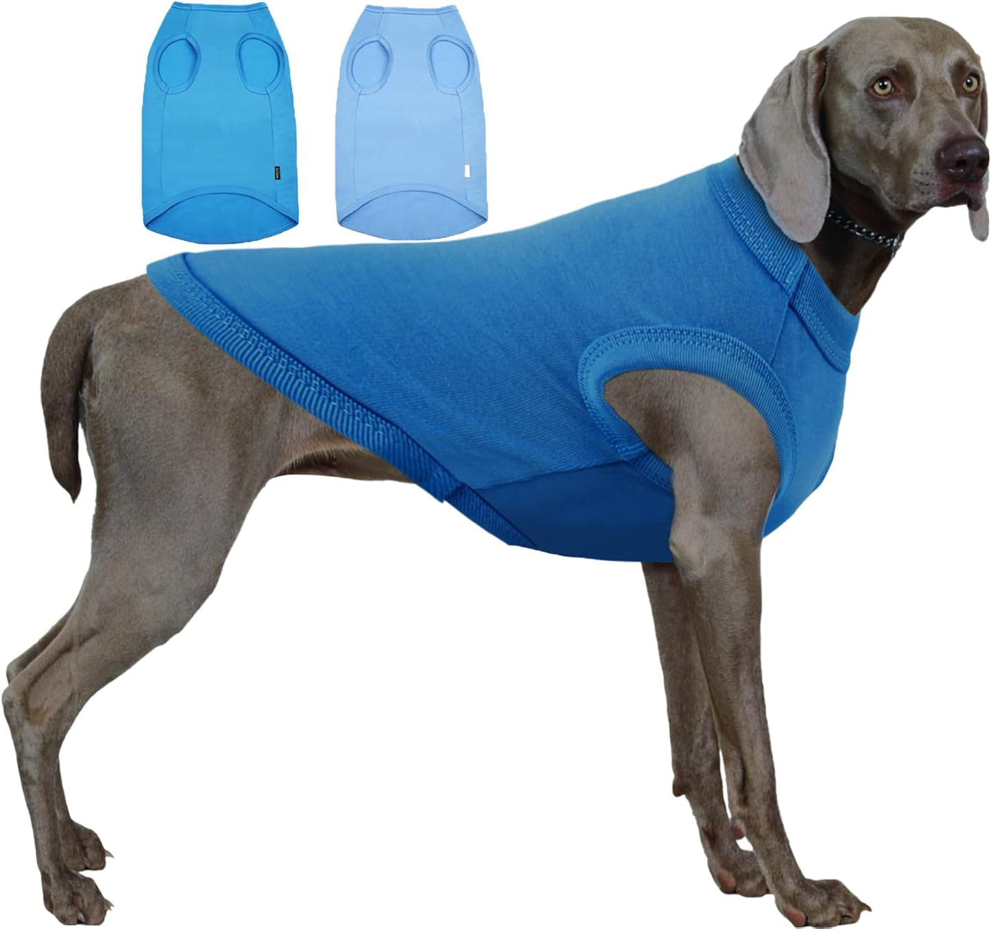 Dog Blank Blue Shirt,Boy Girl Dogs Extra Large Cotton Tee Shirts,Plain Labrador T-Shirt,XXL Blue Royal