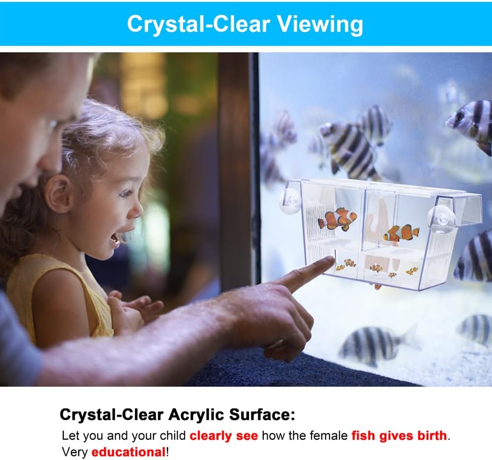 Fish Breeding Box Aquarium Holding Tank Transparent Fish Isolation Box Acclimation Hatchery Incubator Breeder for Betta Shrimp Clownfish Guppy