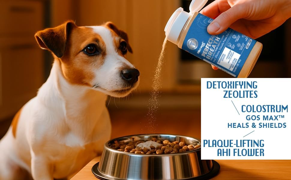 MicraVet-Perfect Breath- Dental Care Meal Topper for Dogs–Reduces Plaque & Tartar, Supports Gut Health,Natural Probiotic Oral Powder with Colostrum, Zeolites & Cranberry – Freshens Breath, 5 oz