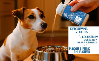 MicraVet-Perfect Breath- Dental Care Meal Topper for Dogs–Reduces Plaque & Tartar, Supports Gut Health,Natural Probiotic Oral Powder with Colostrum, Zeolites & Cranberry – Freshens Breath, 5 oz