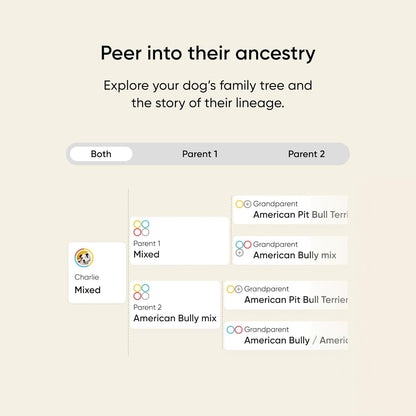 Embark Breed & Health Kit - Dog DNA Testing Kit - Discover Breed, Ancestry, Relative Finder, Genetic Health, Traits, Allergy Risk Scores