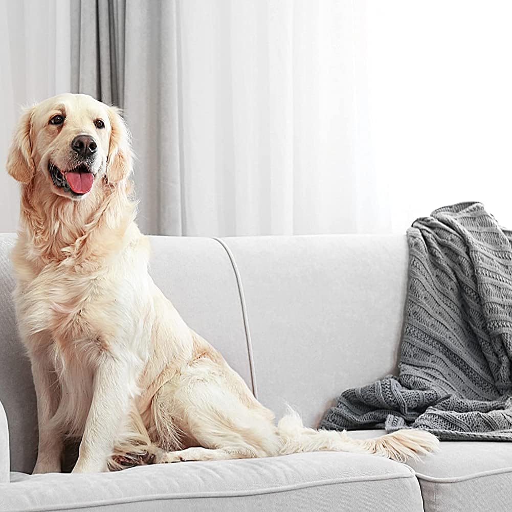 Zep Pet Stain and Odor Remover 32 oz ZUPETODR32 (Cases of 4)