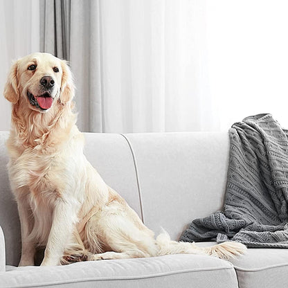 Zep Pet Stain and Odor Remover 32 oz ZUPETODR32 (Cases of 4)