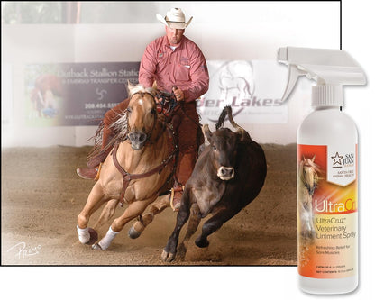 UltraCruz Veterinary Liniment Spray for Horses, 16 oz,sc-395404