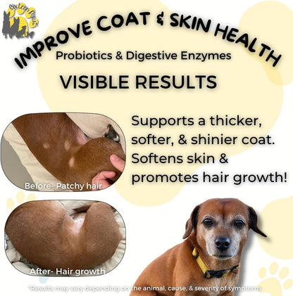 Dog & Cat Probiotics, Prebiotics, & Digestive Enzymes – Flavorless Powder for Gut Health, Allergies, Itchy Skin, Gas & Diarrhea – Organic, Vet-Approved – 65g Bottle (Up to 65 Servings)