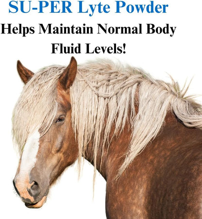 SU-PER Lyte Horse Electrolyte Supplement - Helps Maintain Normal Body Fluid Levels - Performance Horse Minerals & Electrolytes Replacement - 50 Pound, 13 Month Supply