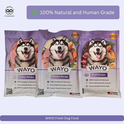 WaYo Fresh Dog Food, Fresh Human-Grade Meals for Dogs | Grass-Fed Premium Meat | All Life Stages | High-Protein, Ready-to-Serve | No Fillers or Art. Additives (11 Pack - 12oz) (Turkey)