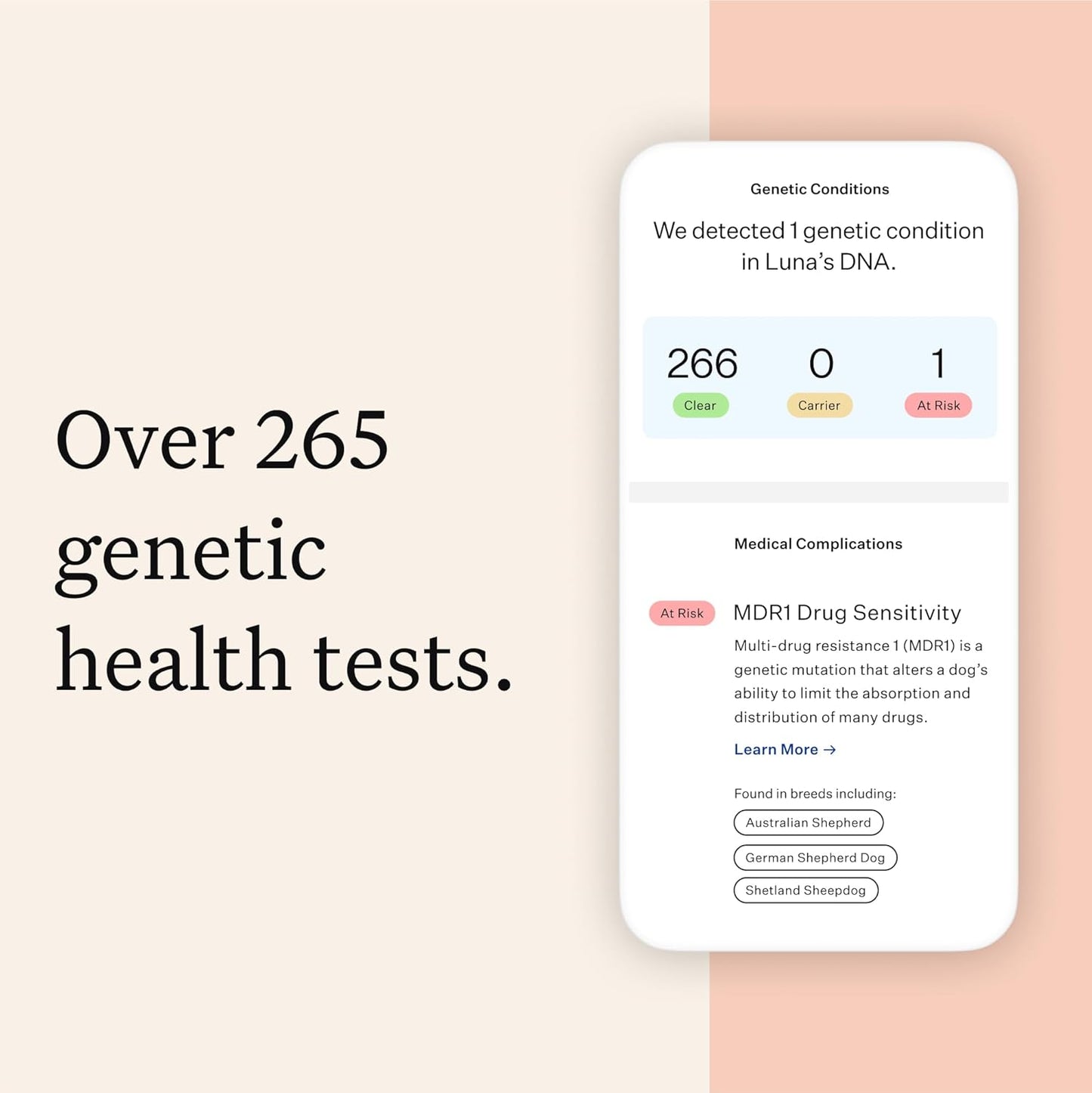 Wisdom Panel Premium Dog DNA Kit: Most Comprehensive with 265+ Health Tests, Identify 365+ Dog Breeds, 50+ Traits, Relatives, Ancestry, Genetic Diversity - Pack of 1