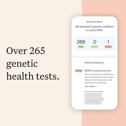 Wisdom Panel Premium Dog DNA Kit: Most Comprehensive with 265+ Health Tests, Identify 365+ Dog Breeds, 50+ Traits, Relatives, Ancestry, Genetic Diversity - Pack of 1