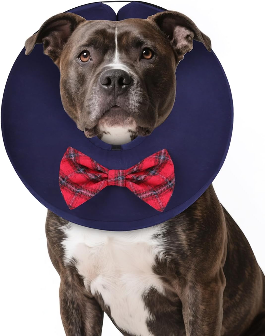 MIDOG Dog Cone Collar for Large Medium Dogs, Soft Inflatable Dog Cone Alternative After Surgery, Adjustable Protective Recovery Cone - Alternative E Collar Does Not Block Vision (Bow Tie,L)
