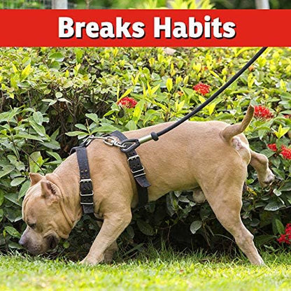 IMUSTGARDEN Dog and Cat Repellent: All Natural Spray to Stop Chewing and Repel from Yards, Plants, and Gardens – 1 Gallon Ready-to-Use