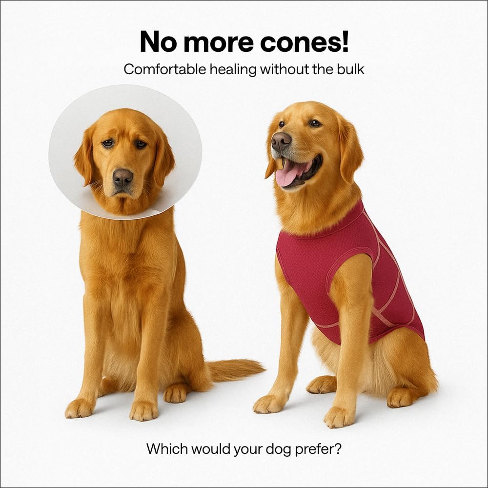 Dog Surgery Recovery Suit for Medium Dogs – Soft Cotton-Spandex Post-Surgery Bodysuit with Snap Buttons – Includes Chew Toy, Hygiene Sticker & Zip Bag – Cone Alternative for Medium Breeds