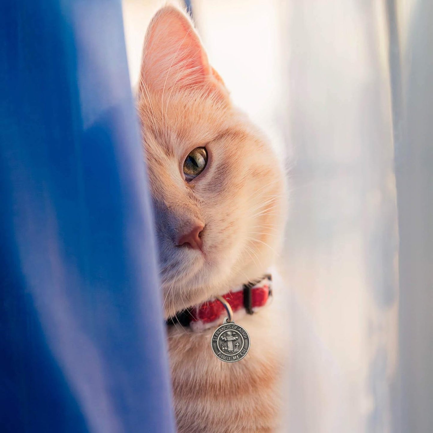 Pet Tags Engraved 2 Packs St Francis of Assisi dogs Cats Medal Pendant Collar Charm Protect My Pet