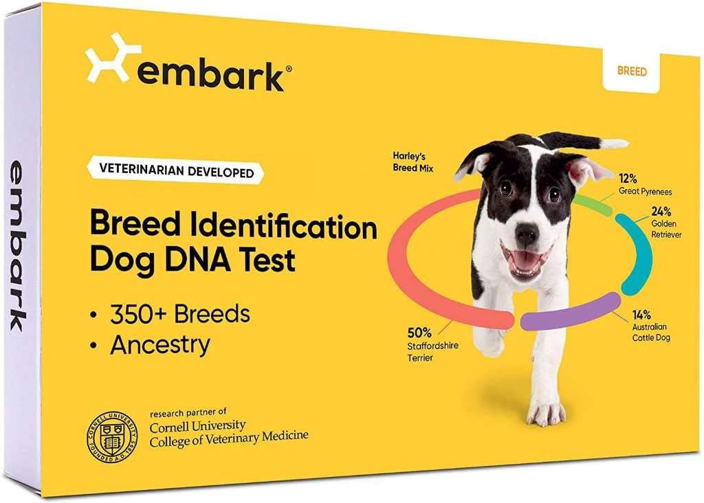 Embark Breed Identification Kit - Most Accurate Dog DNA Testing Kit - 99% Breed Ancestry Accuracy for Mixed Breed Dogs - Plus Relative Finder & Family Tree