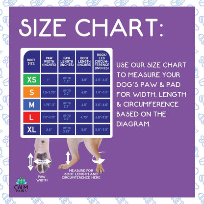 Recovery Boot and paw Protector (Medium)