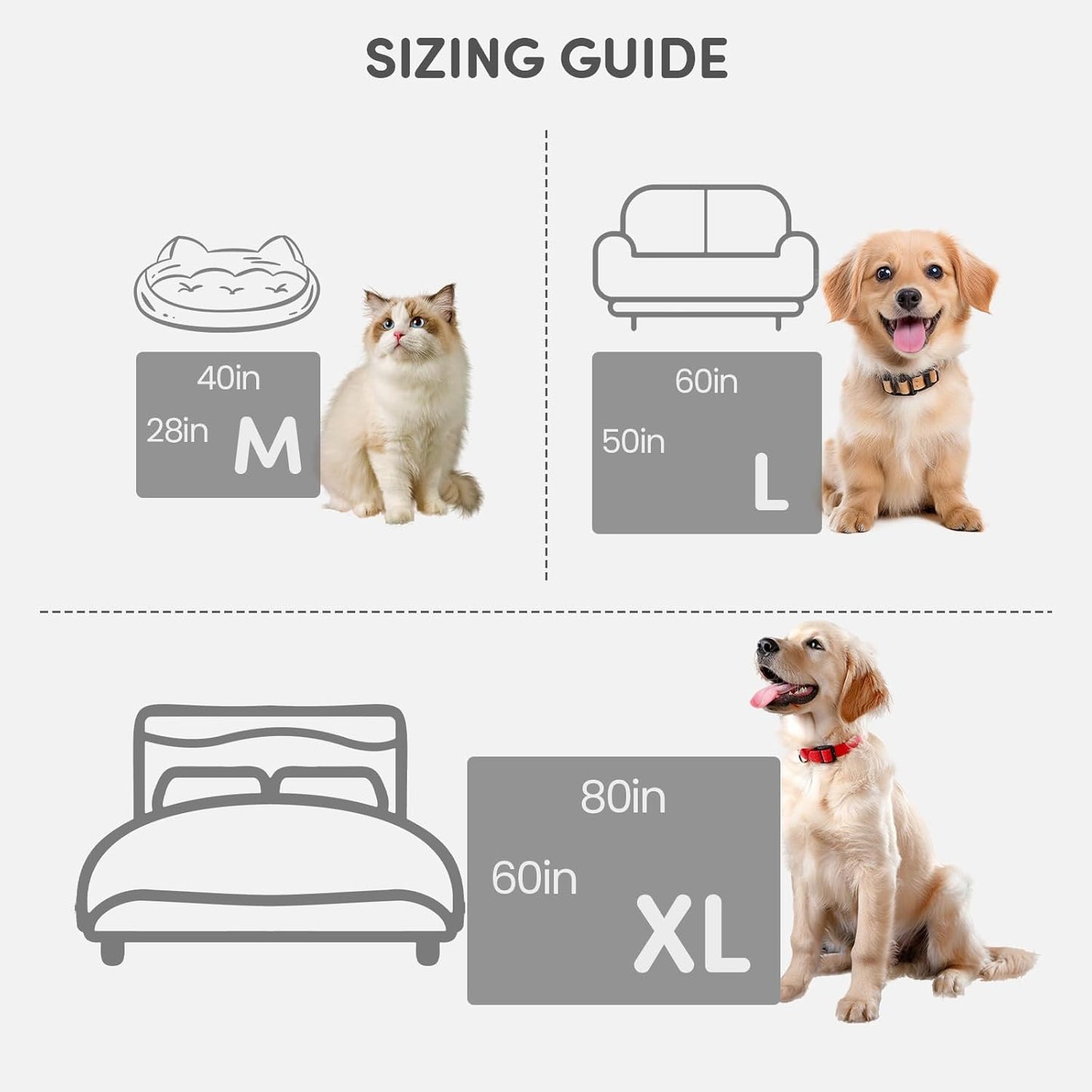 3 in 1 Carpet Rake for Pet Hair Removal & Waterproof Dog Blanket