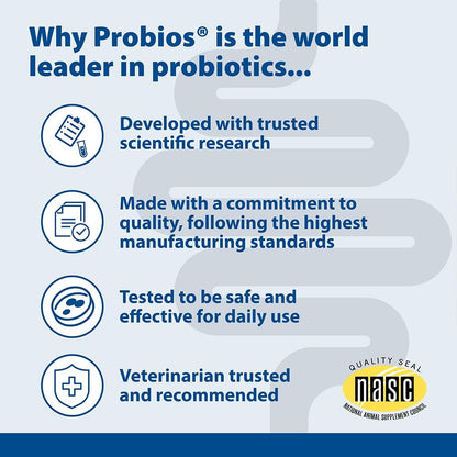 Probios for Horses Soft Chews, Daily Probiotic Supplement for Gut Health, Digestion & Immune Support, Horse Supplies, Apple Flavor, 1.32 lbs (600 Grams) (Pack of 2)