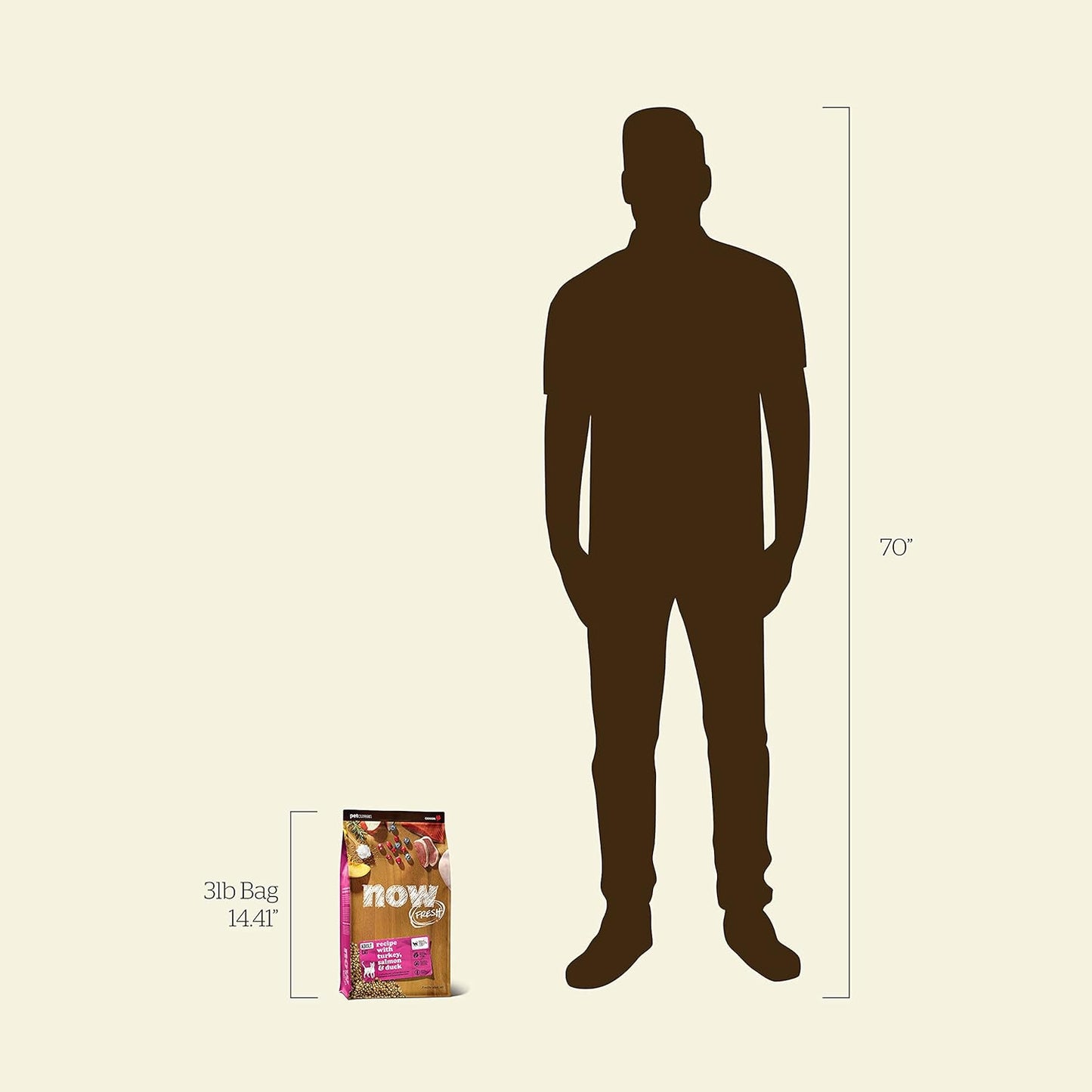 Now Fresh Grain-Free Dry Cat Food with Turkey, Salmon & Duck, Healthy Kibble for Adults Made with Real Meat & Fish, Chicken-Free, with Pumpkin & Probiotics for Sensitive Stomachs, 3 lb Bag