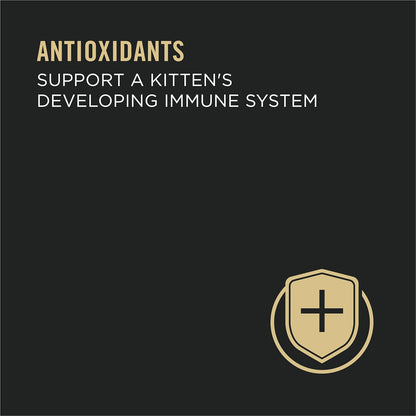 Purina Pro Plan High Protein Wet Kitten Food Variety Pack, DEVELOPMENT Kitten Favorites - (Pack of 24) 3 oz. Cans