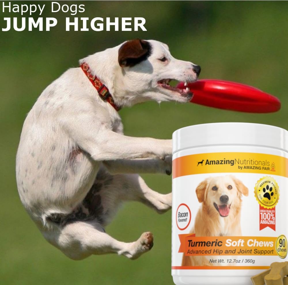 Probiotics for Dogs Digestive Turmeric Joint Support Bundle - Eliminates Joint Pain Inflammation, Incontinence, Gas and Diarrhea
